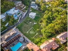 Lush tropical vegetation